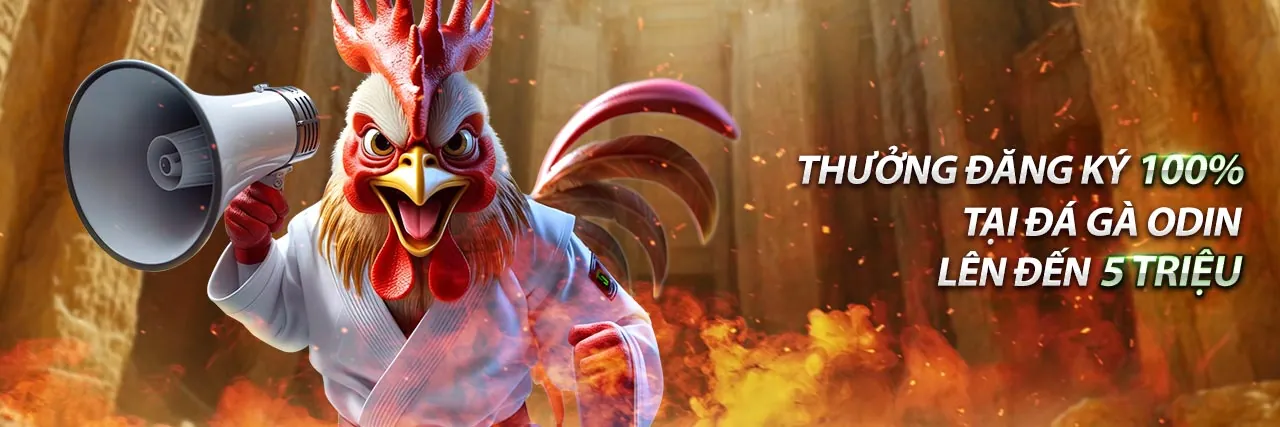 Đá gà trực tuyến 2king88 Casino